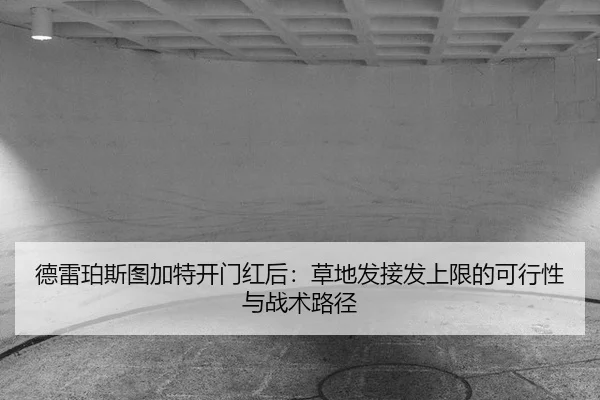 de-lei-po-si-tu-jia-te-kai-men-hong-hou-cao-di-fa-jie-fa-shang-xian-de-ke-xing-xing-yu-zhan-shu-lu-jing-2-325.jpg